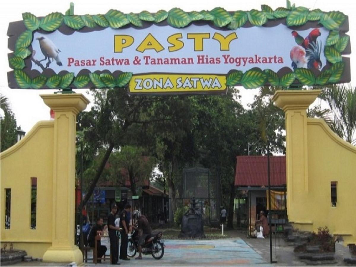 La Javanaise Home Stay Malioboro Yogyakarta Esterno foto