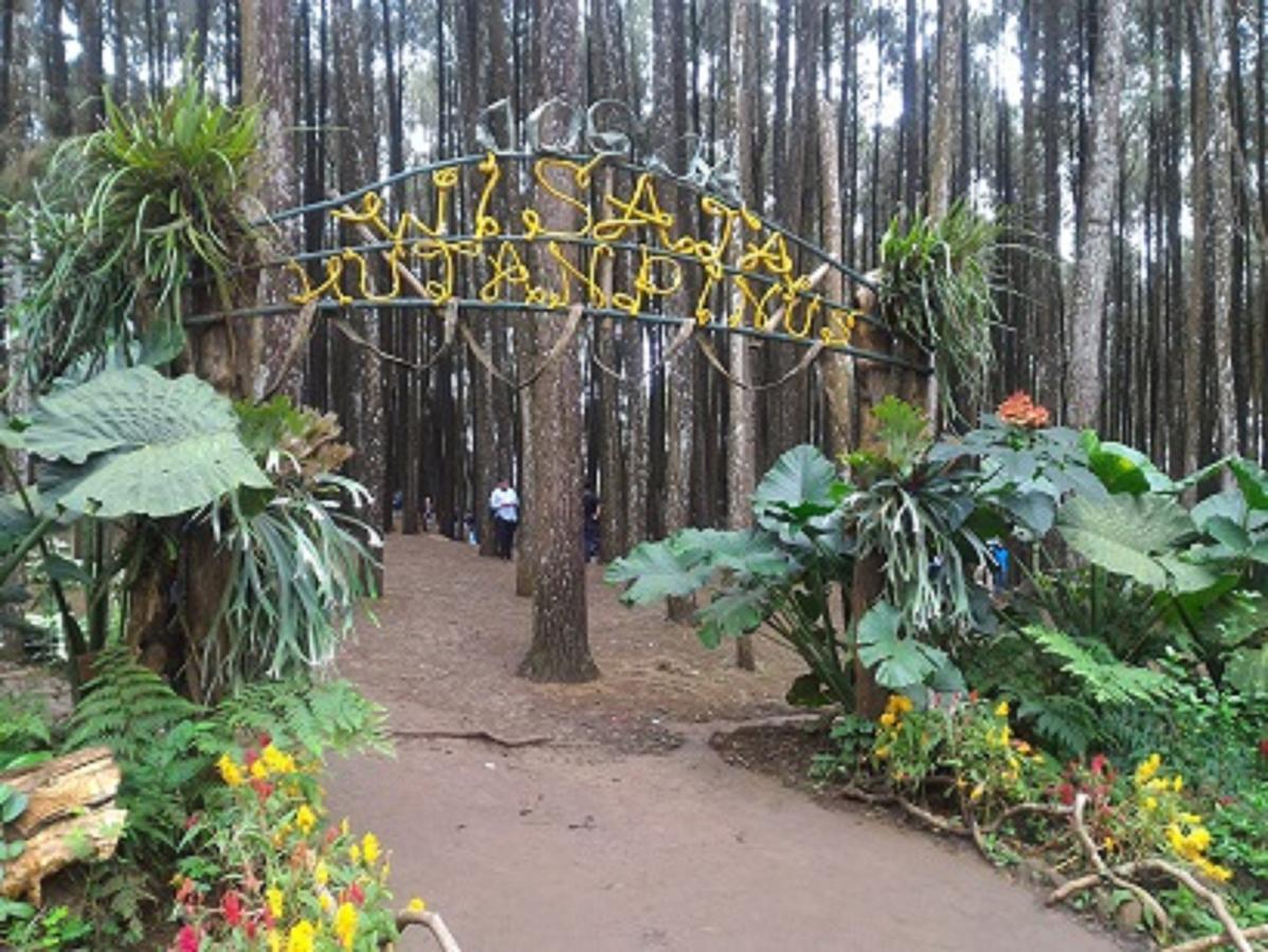 La Javanaise Home Stay Malioboro Yogyakarta Esterno foto